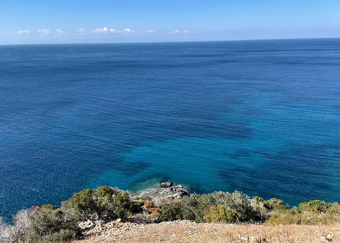 La Conchiglia * Seccheto